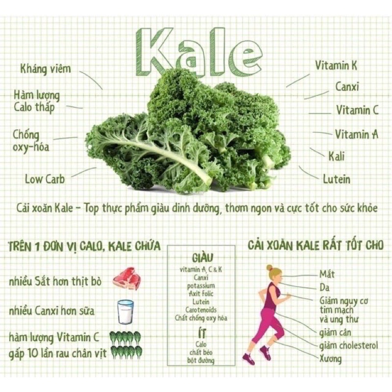 (Mẫu mới) Mì Cải Xoăn Kale Organic Isito