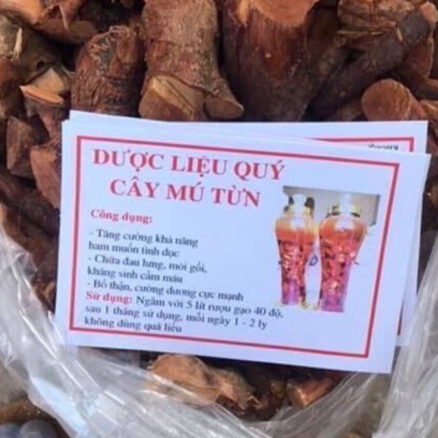 Mú Từn Thân hàng loại 1