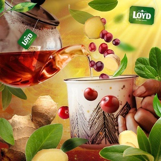 Trà Túi Lọc Loyd Vị Warm Raspberry 40g