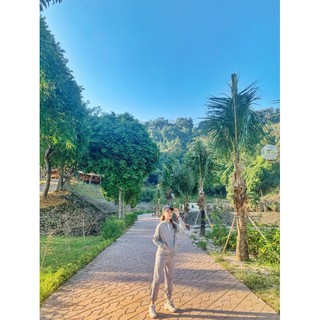 Quần Track pant Shape gió trơn [J070]