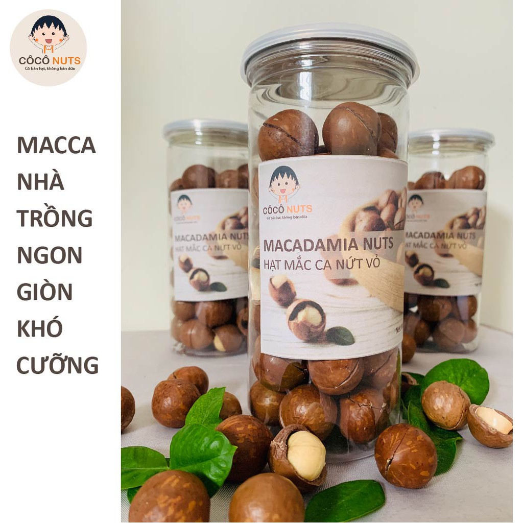 Hạt Macca Đắk Lắk CÔCÔ NUTS Loại 1 Nứt Vỏ Tự Nhiên - 500g kèm đồ khui