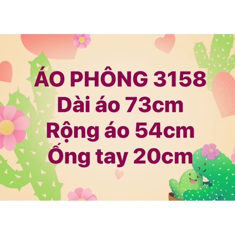 Áo thun 3158 chữ Harvard chất dày hàng Quảng Châu