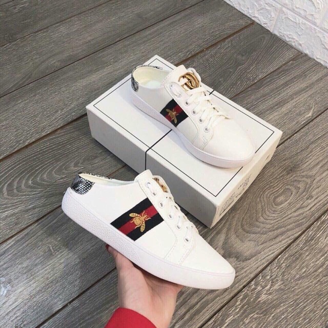 SỤC THỂ THAO GC HOT HIT