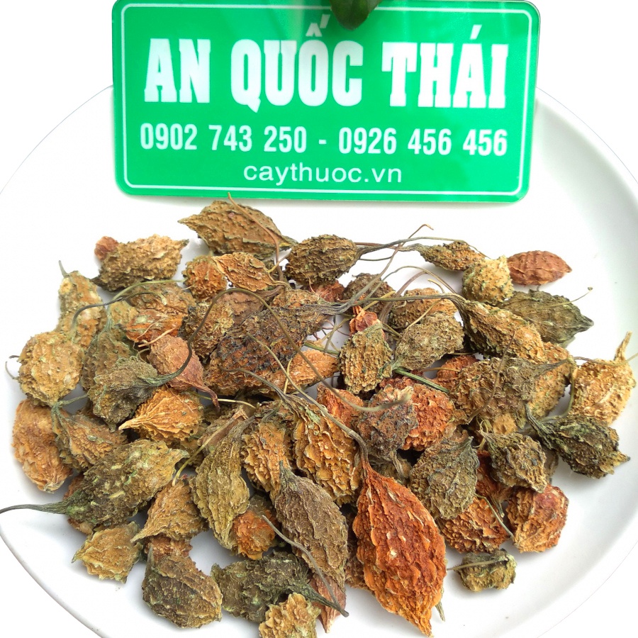 Khổ Qua Rừng (Mướp Đắng Rừng) Sấy Khô Thái Lát/Nguyên Trái 500g, Trà Khổ Qua Rừng Ổn Định Đường Huyết