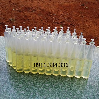 Thuốc ruồi vàng - Thuốc dẫn dụ ruồi vàng dùng cho bẫy ruồi vàng - 10 lọ 2ml