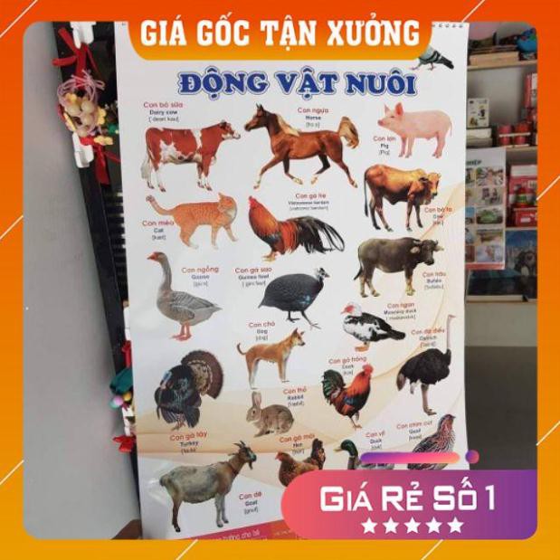 [RẺ VÔ ĐỊCH] Bộ Tranh Treo Tường Về Thế Giới Xung Quanh 14 Chủ Đề