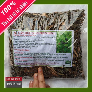 [ Hàng Sẵn ] Cây mực khô - Cty Thảo dược số 1