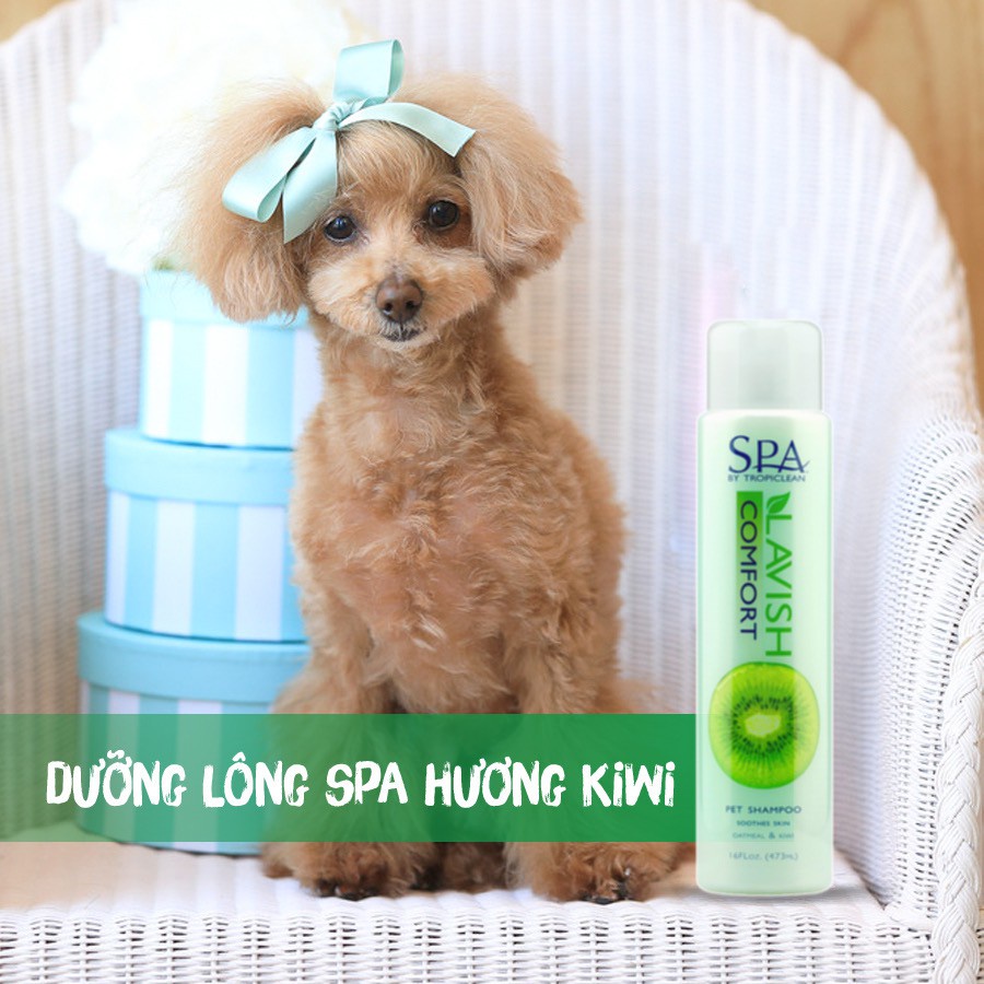 Sữa Tắm dưỡng lông, khử mùi SPA Lavish By TropiClean Cho Thú Cưng, sữa tắm cho chó, dầu xả cho chó