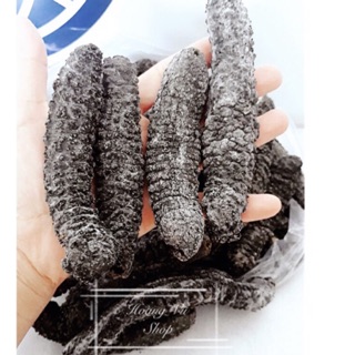 1 cặp hải sâm - nhân sâm biển