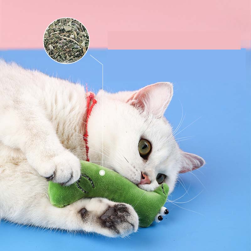 Đồ Chơi Mèo catnip xuyên biên giới vui vẻ, Gấu ôm cho chó - mèo