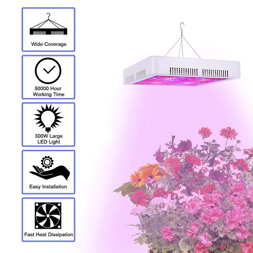 300W LED Grow Light cho cây trồng trong nhà - Full UV UV & IR Plant Grow Light cho Hydroponic Veg Bloom Seedling (300W)