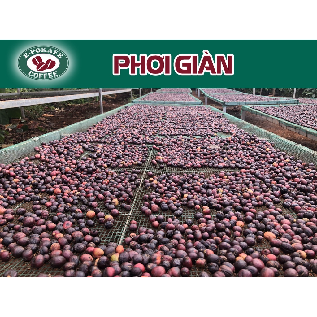Cafe Robusta ĐắkLắk rang xay nguyên chất 100% vị truyền thống đậm đà thơm nồng dùng pha máy, pha phin từ E-POKAFE | BigBuy360 - bigbuy360.vn