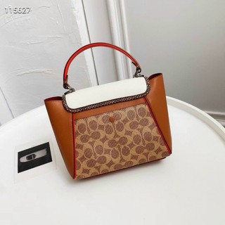 túi coach siêu xịn siêu sang