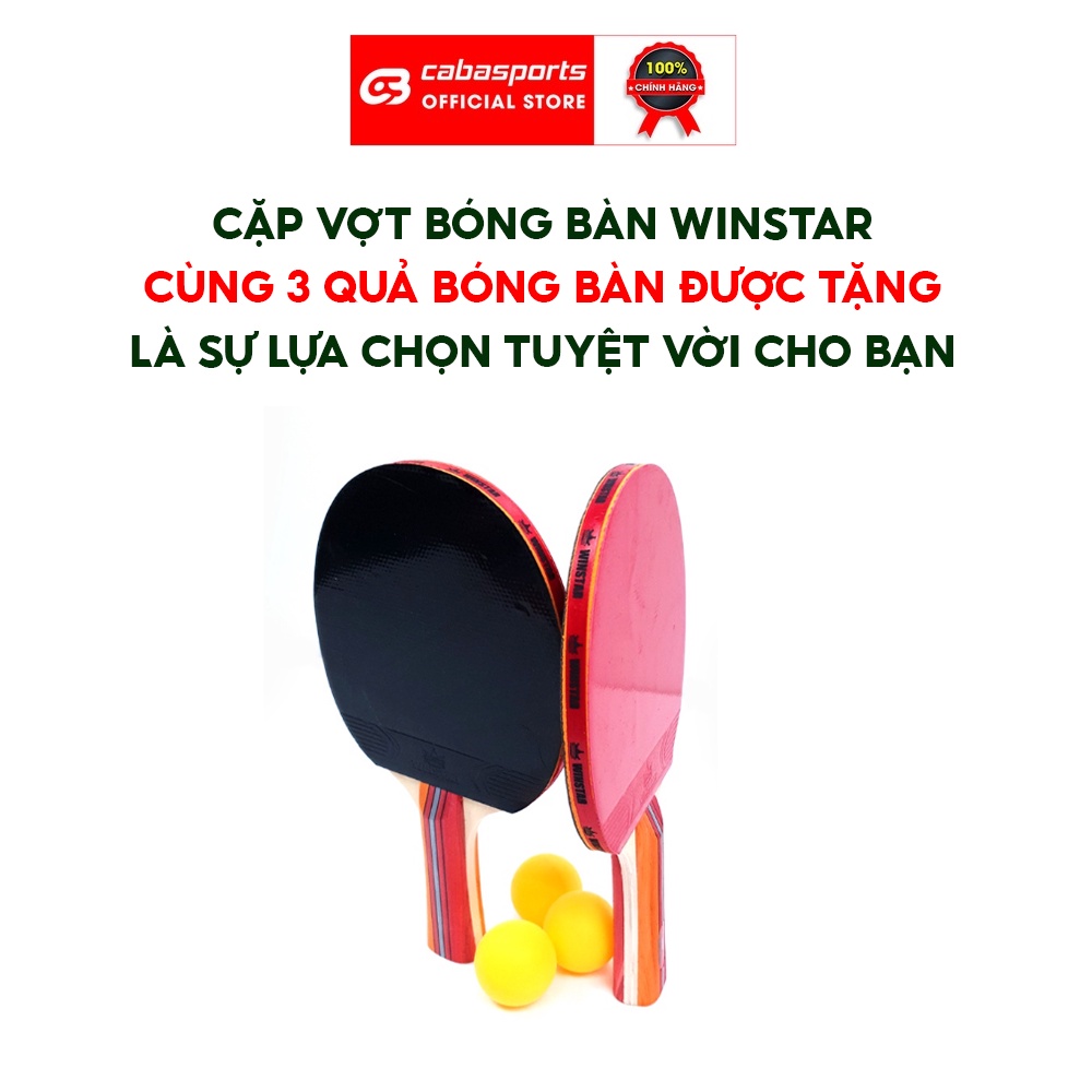 Cặp vợt bóng bàn tập luyện Winstar WS-5 WS-8 chính hãng 5 sao 8 sao có tặng kèm 3 quả bóng