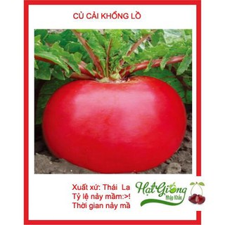 5 gr hạt giống củ cải khổng lồ LINH NGOC