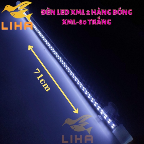 Đèn Led XML 2 Hàng Bóng XML-80 - Led Thủy Tinh Xuanmeilong Chuyên Dụng Cho Cá Cảnh