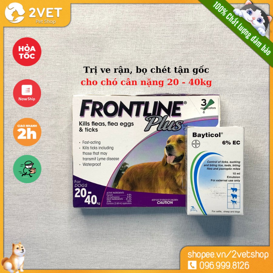 Chăm Sóc Chó - Loại Bỏ Ve - Rận - Bọ Chét - Ký Sinh Trùng Trên Chó - Với Combo Hoàn Hảo Từ Chuyên Gia Thú Y