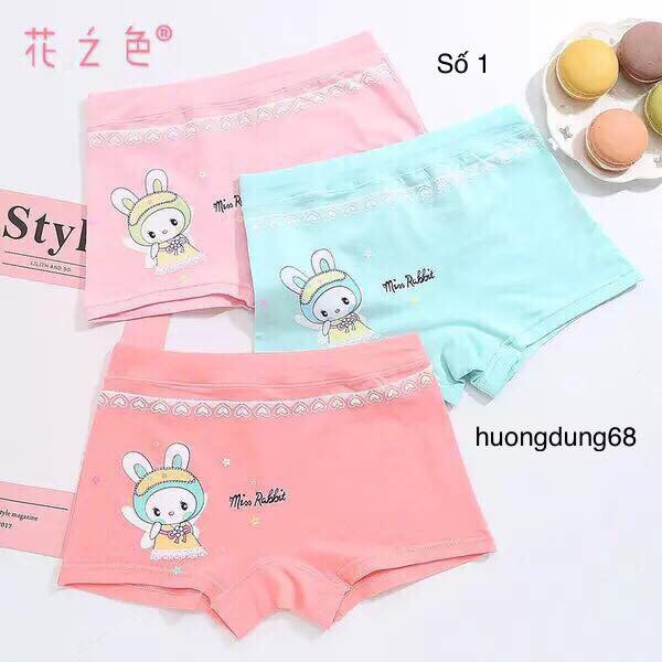 Boxer / Quần Lót Cotton Bé Gái Hình Cô Thỏ Xuất Hàn ( QL : 067 ) Hàng Loại Đẹp.