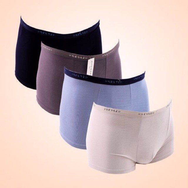 Combo 5 quần sịp quần lót nam cotton xuất Nhật