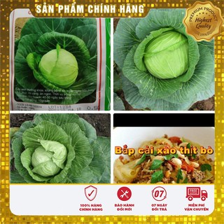 Bộ gói hạt giống Cải bắp