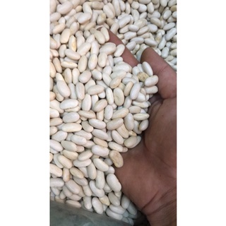 1kg đậu trắng đỗ trắng hạt to loại 1
