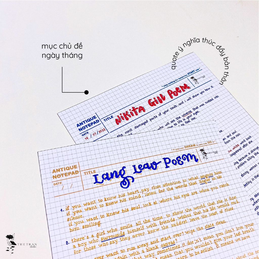 Bộ 10 tờ giấy ghi chép kẻ caro - A4, B5, A5, A6 - dọc, ngang cổ trang / antique notepad / thetranstudio