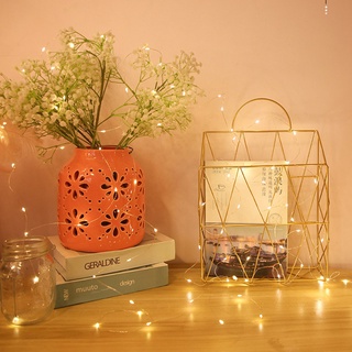 Dây đèn LED trang trí dài 1m