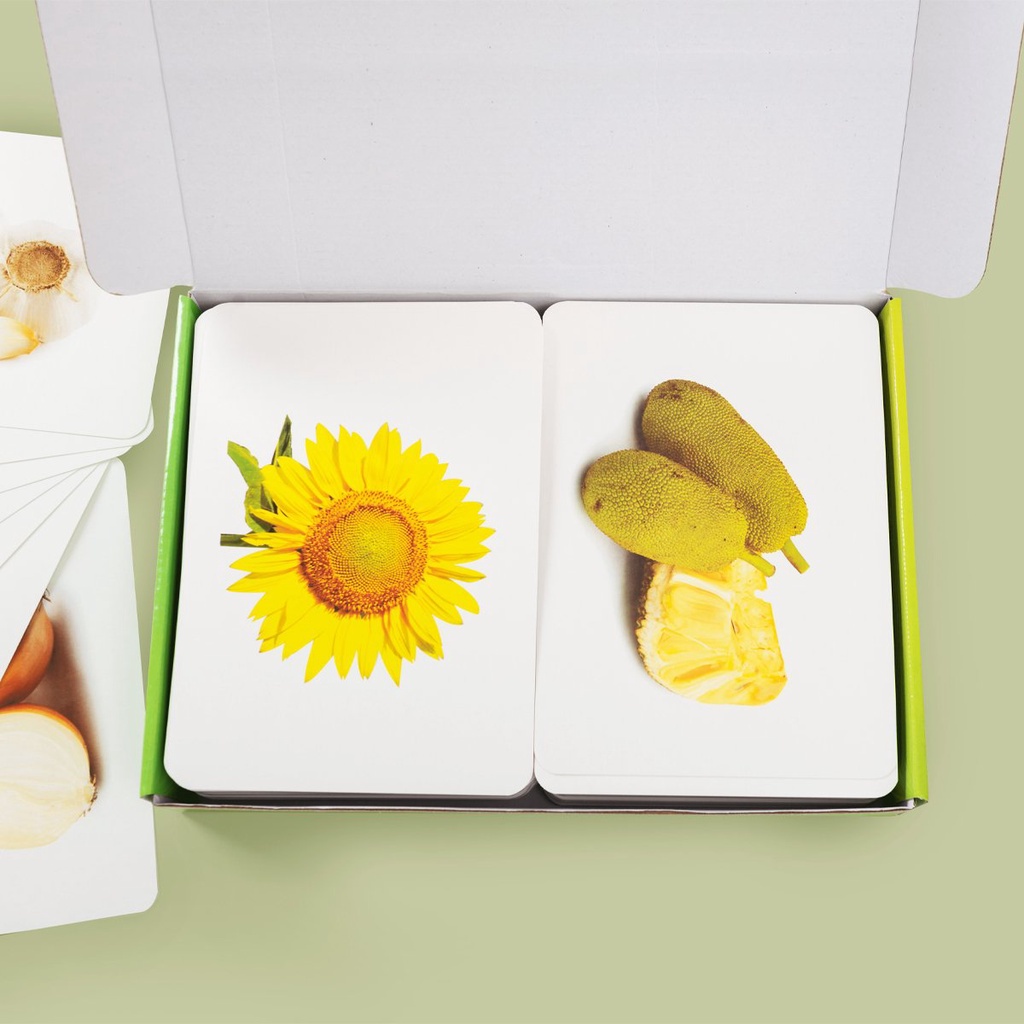 Flashcard - Thẻ Học Thông Minh Thế Giới Xung Quanh Chuyên Sâu Chuẩn Glenn Doman Hoa Kỳ