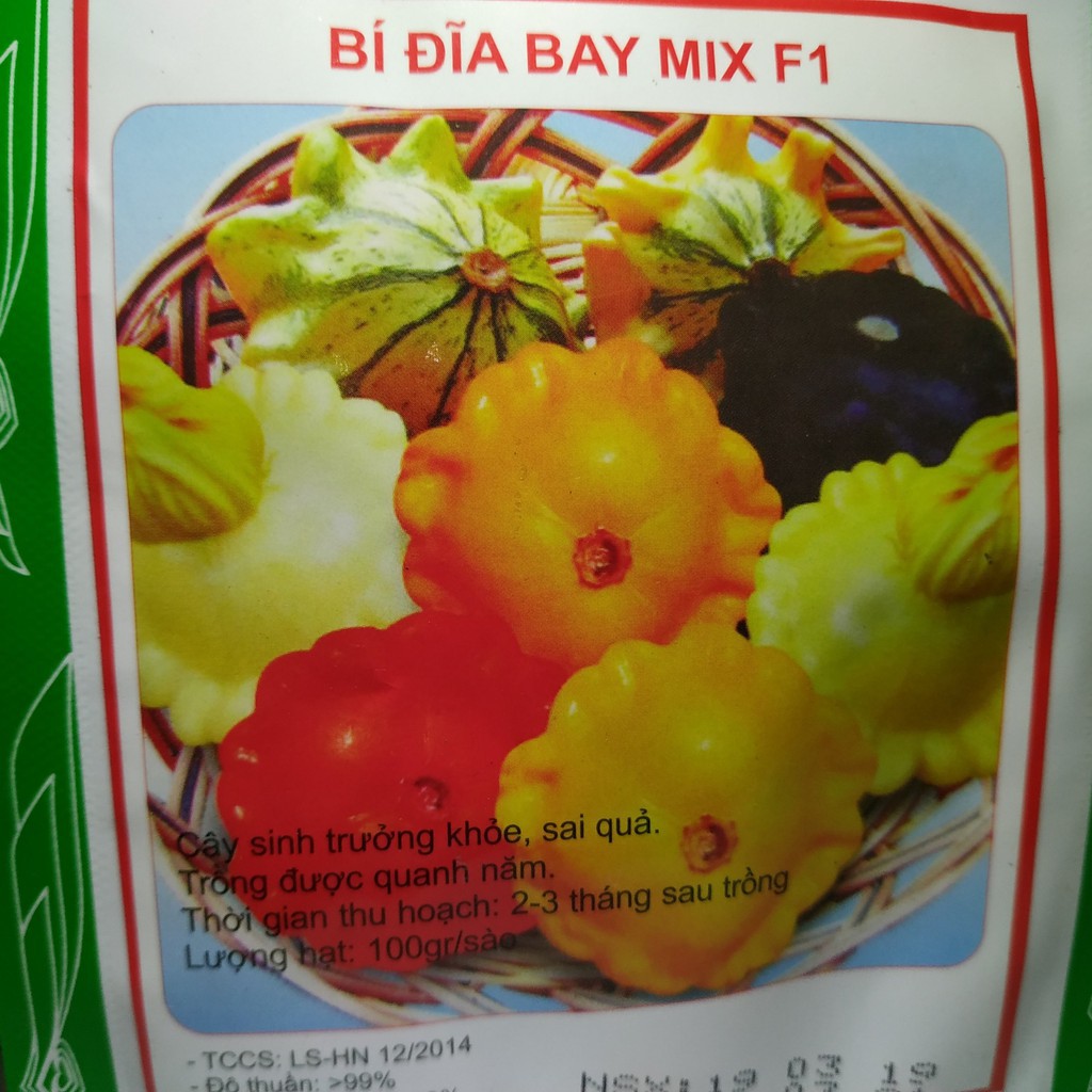 SIÊU RẺ - Bán Hạt giống BÍ ĐĨA BAY MIX F1 nhập khẩu hàng chuẩn. hàng nhập khẩu.