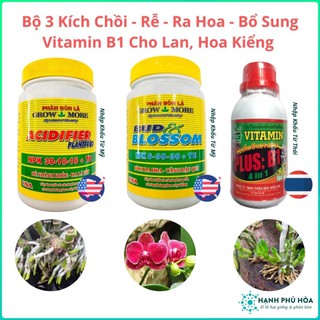 Bộ Ba Phân Bón Hữu Cơ Cho Lan Hoa Kiểng Kích Ra Mầm Growmore (Mỹ) 301010, Kích Mọc Rễ, Ra Hoa 63030 & Vitamin B1 (Thái)