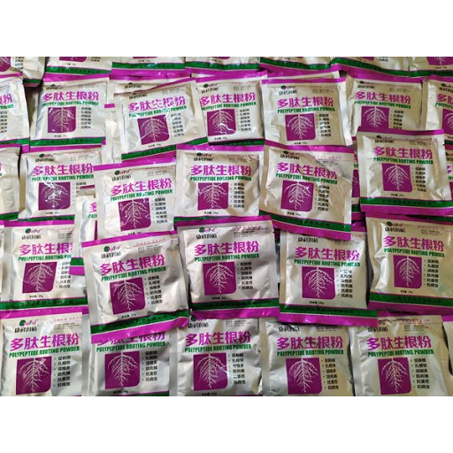 Thuốc kích rễ và ươm cành hoa hồng, hoa mộc, hoa lan, đào
