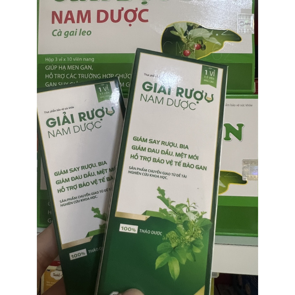 VIÊN GIẢI RƯỢU NAM DƯỢC - HỘP 1 VỈ X 6 VIÊN - giảm say, mệt mỏi khi uống bia rượu
