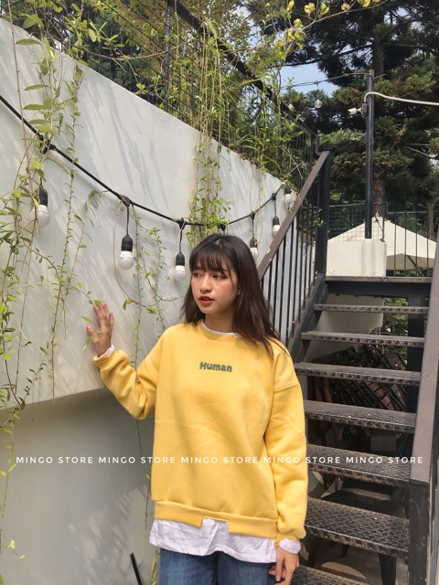 Áo nỉ Human 4 màu