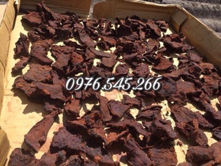 BỘT HÀ THỦ Ô ĐỎ - CỬU CHƯNG CỬU SÁI