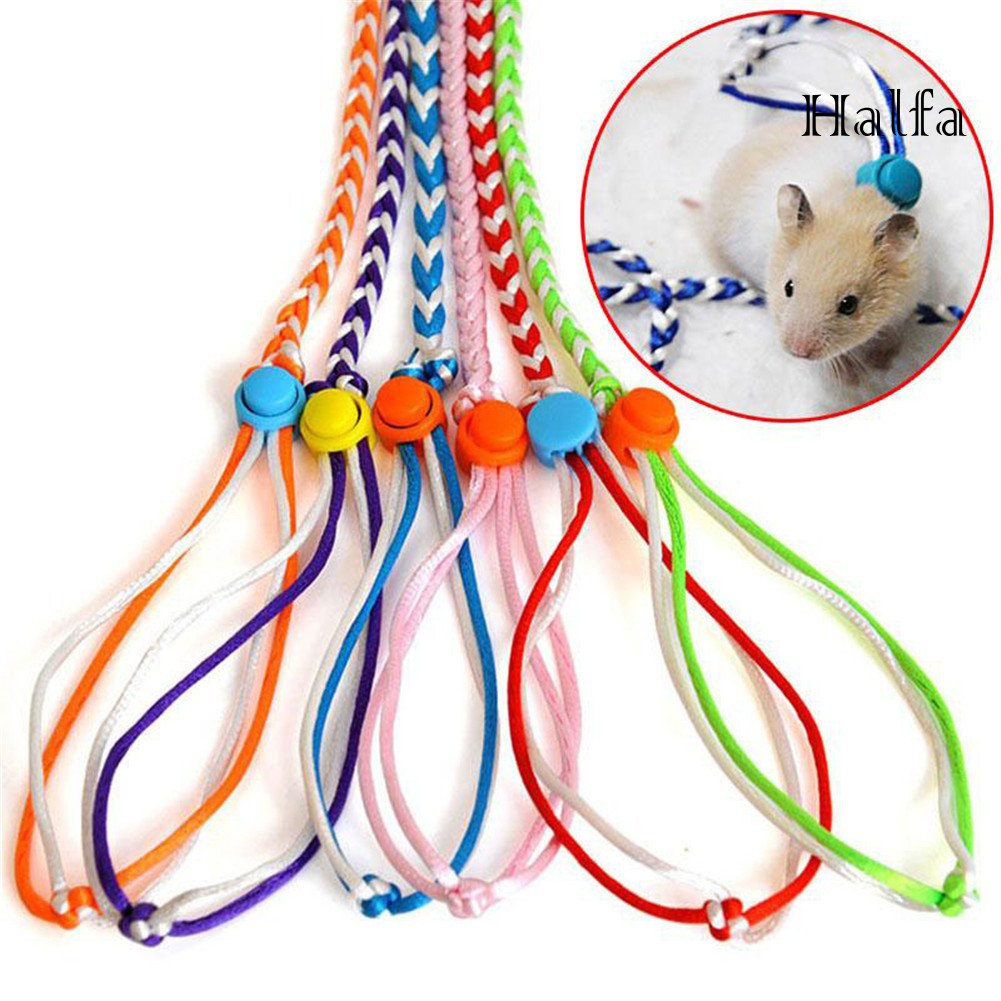 Dây dắt thú cưng đi dạo 1.4 / 2m có thể điều chỉnh tiện lợi