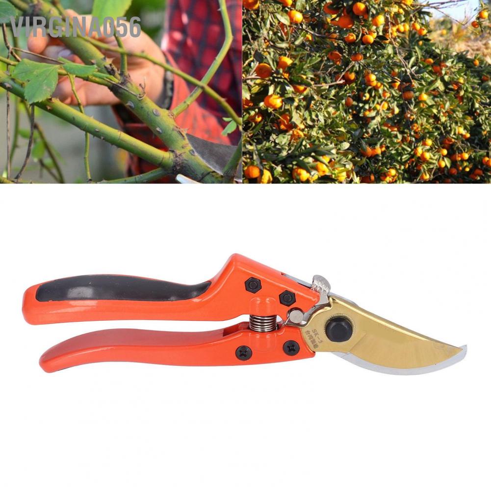 Virgina056 Pruning Shears Pointed Fruit Branch Garden Plant Trimming Scissor for Agriculture Courtyard