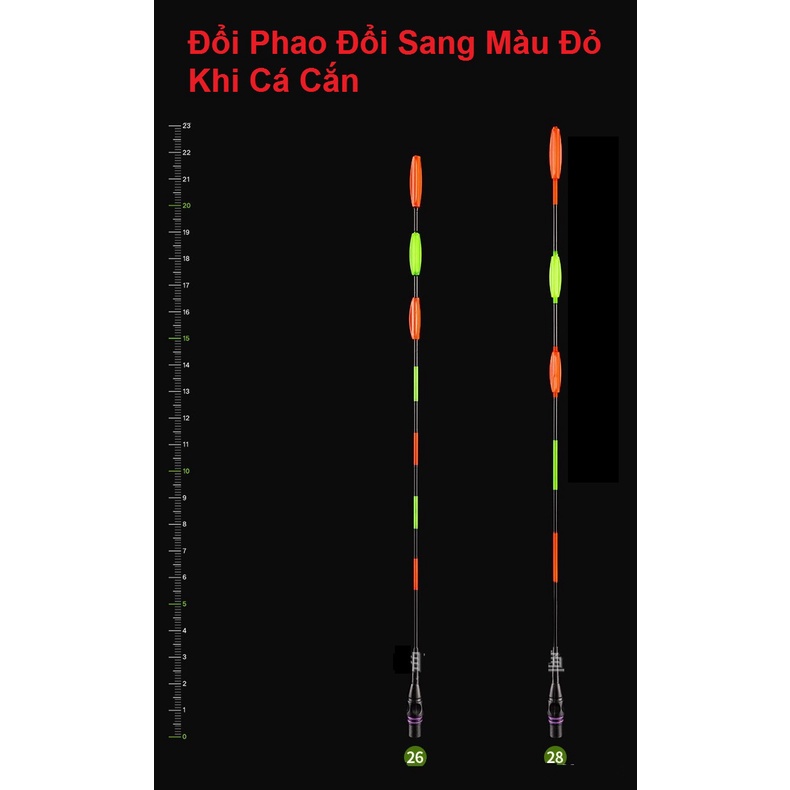 [Tặng Kèm Pin] Ngọn Phao Điện Câu Cá Đêm Đổi Màu, Săn Hàng Các Loại Dùng Cho Cần Câu Tay