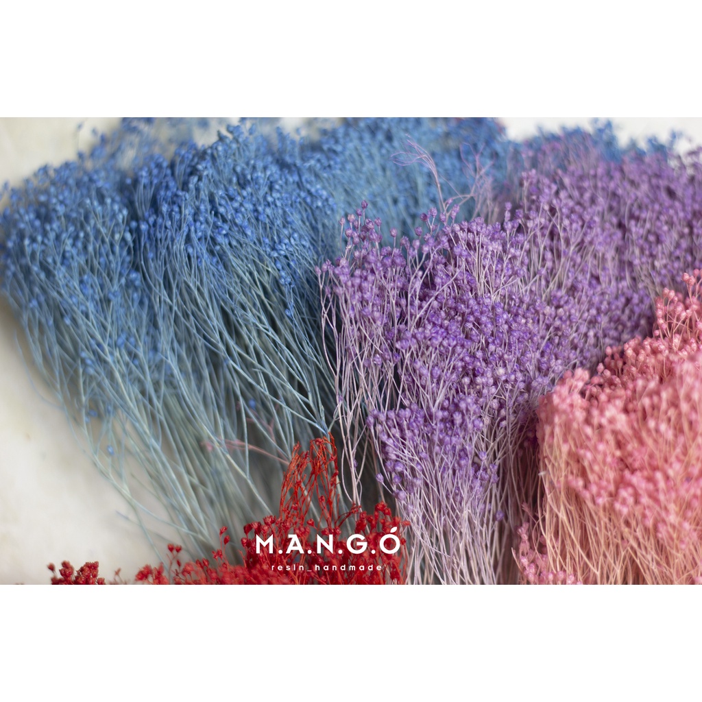 Hoa bloom khô trang trí resin, thiệp, nến thơm, handmade
