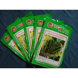 Bán Hạt giống Dưa bở quả dài Lucky Seeds -10gr hàng chuẩn