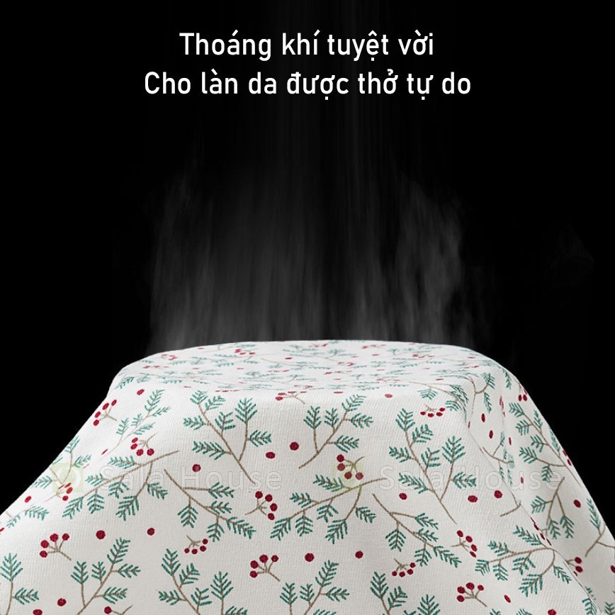 Quần lót bầu và sau sinh cạp chéo, viền ren cotton thoáng khí, đáy quần kháng khuẩn Mềm Mịn Cao Cấp Set 4 Chiếc