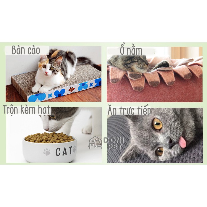 Catnip cỏ bạc hà cho mèo giúp thư giãn làm sạch răng thơm miệng - Gói 2g