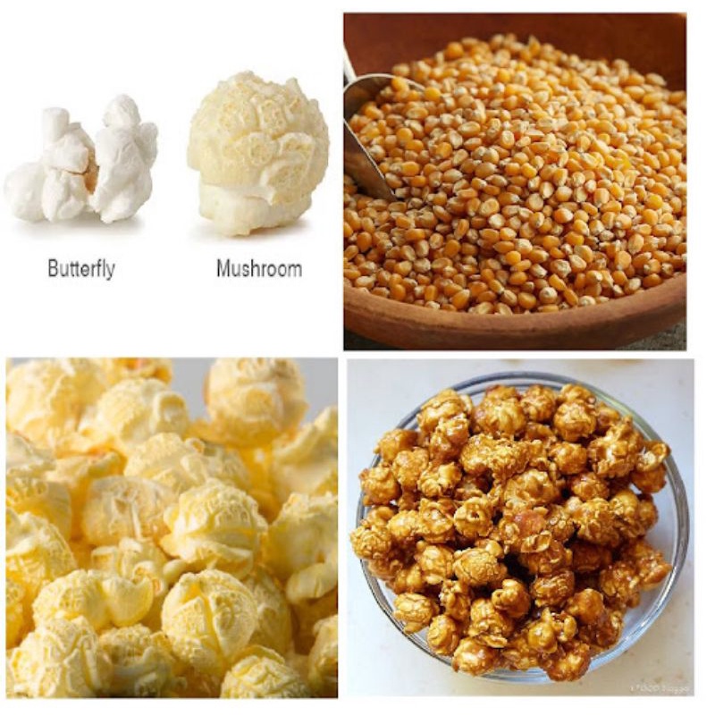 Bán Sỉ  Combo 1kg Ngô Hạt làm Bắp rang bơ Hàng nhập khẩu Mỹ , siêu ngon, đơn giản dễ chế biến