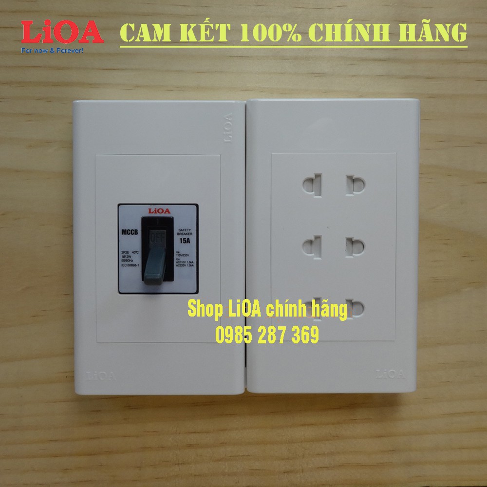 Combo ổ cắm điện lắp nổi có cầu dao chống quá tải 15A - LVMCCB15SE16