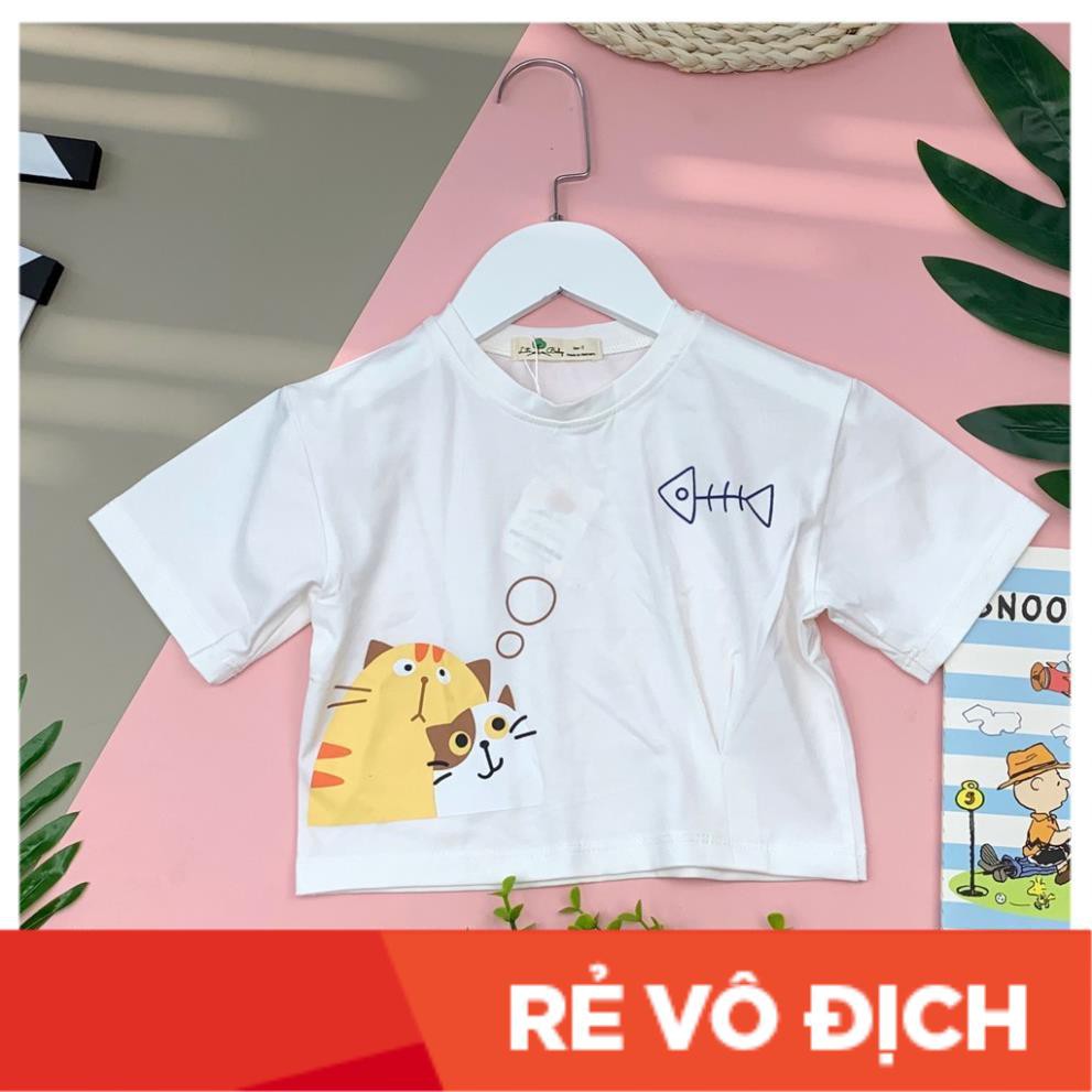 Áo cotton dáng ngắn cộc tay in hình mèo và cá bé gái size 9-14, cho bạn từ 25-40kg. Chất cotton 4 chiều siêu đẹp, mát