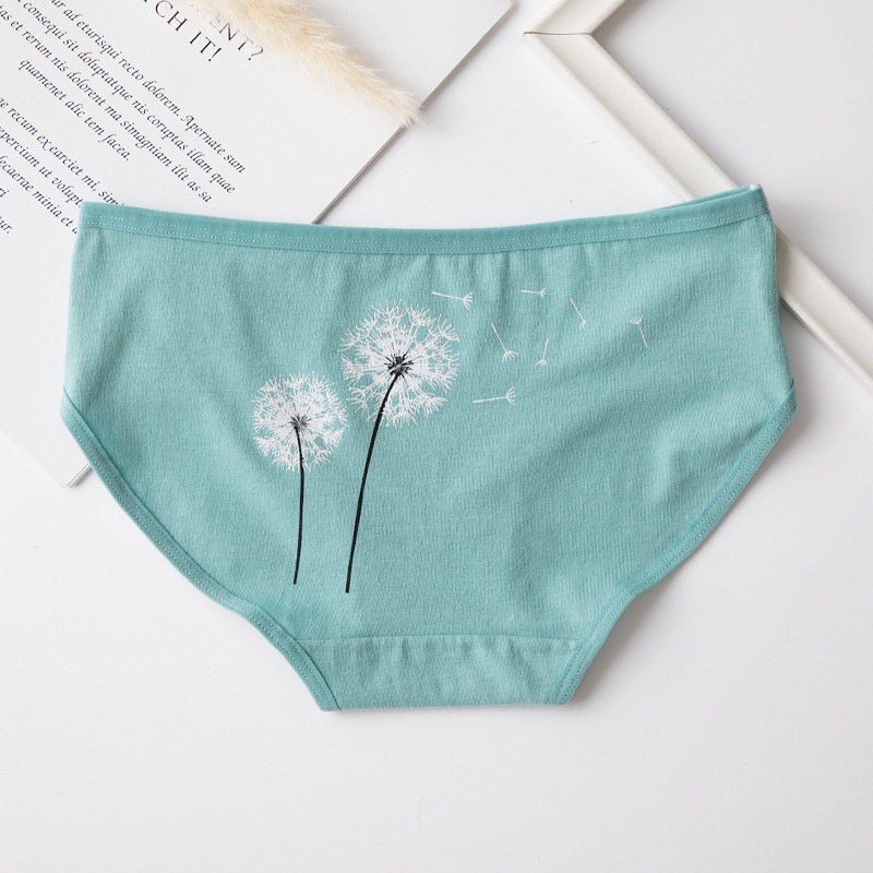 Set 5 quần lót nữ cotton NuciFera mẫu họa tiết Angel