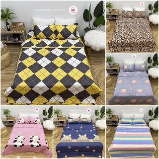 Bộ 5 MÓN chăn hè kèm ga chun vỏ gối ( kèm vỏ gối ôm ) cotton poly nhiều mẫu mới