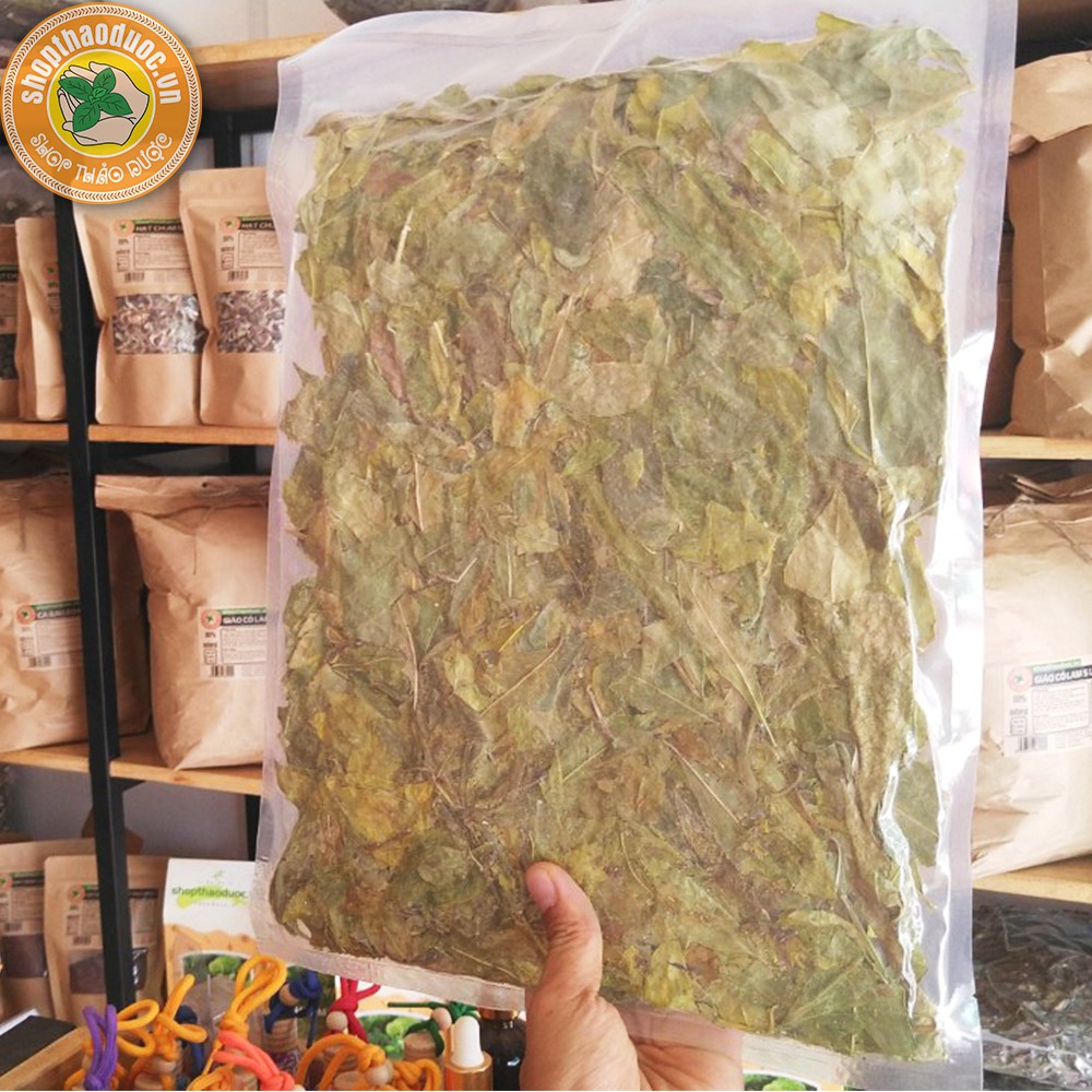 Chè Dung Gói 250G ép chân không - Trà Lá Dung - Tốt Cho Người Đau Dạ Dày