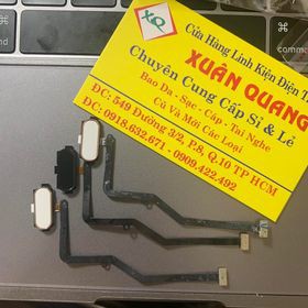 DÂY NÚT HOME SAMSUNG C9