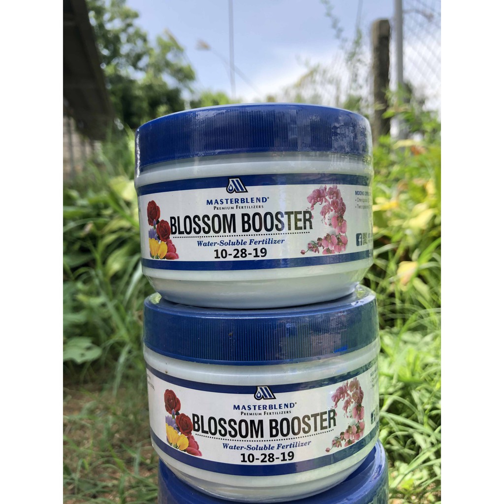 Phân Kích ra hoa  Masterblend