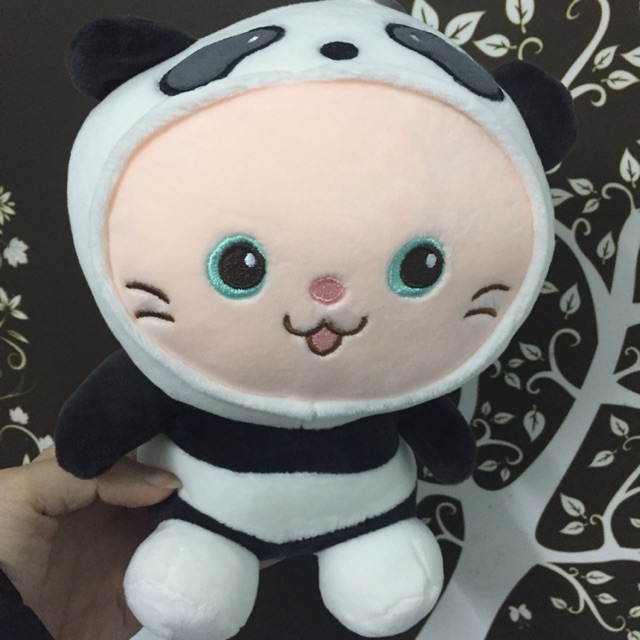 Set gấu 250